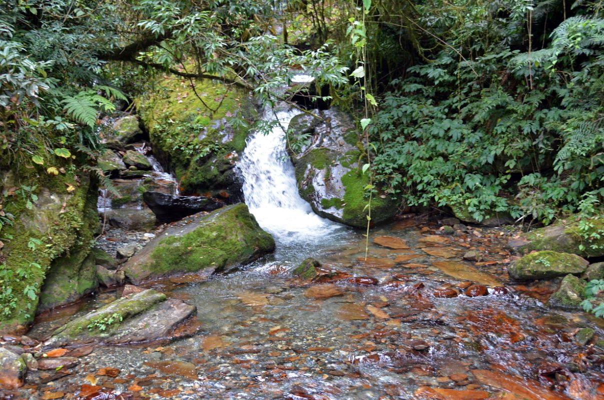 Nayapul To Ghorepani 22 Small Stream From Trail From Banthanti To Nangathanti 